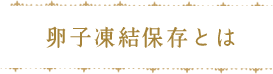 卵子凍結保存とは