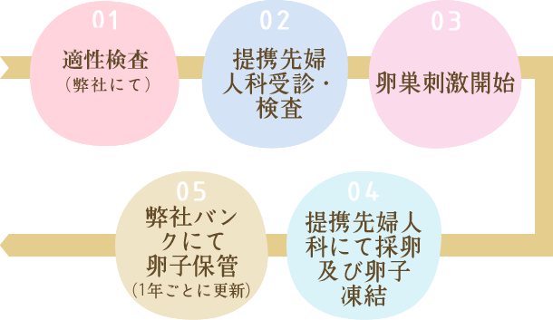 卵子凍結保存の流れ