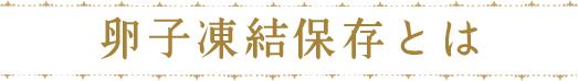 卵子凍結保存とは